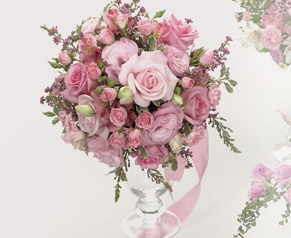 pink flower